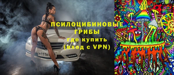 сатива Горно-Алтайск