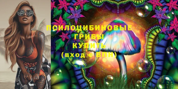 молекула духа Горнозаводск