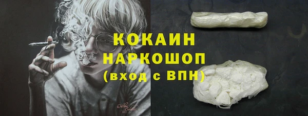молекула духа Горнозаводск