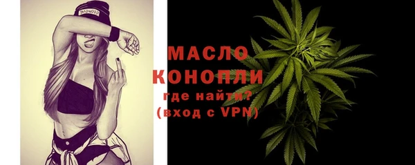 молекула духа Горнозаводск