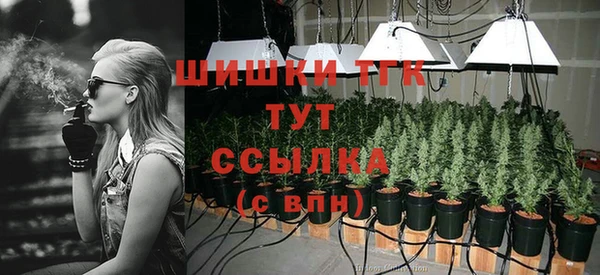 марки lsd Горняк