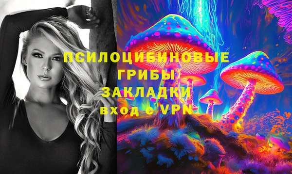 сатива Горно-Алтайск