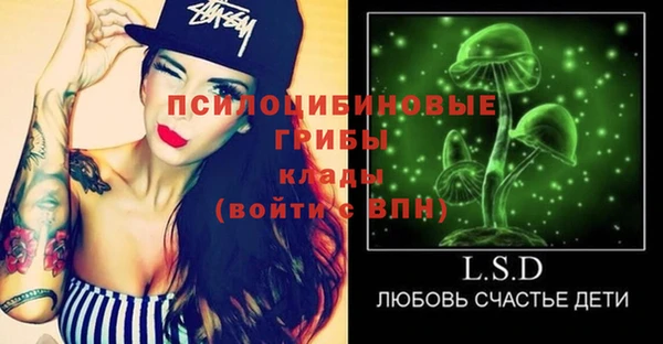 сатива Горно-Алтайск